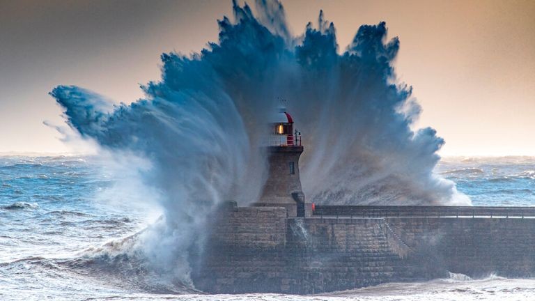 blog immagine